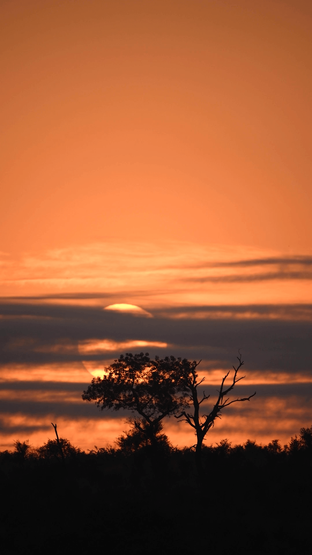 Singita_60 Seconds of Calm