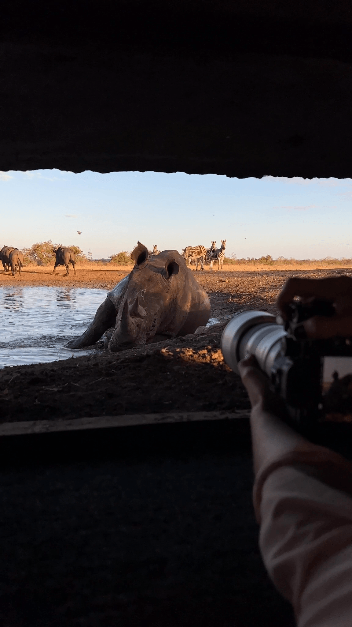 Singita Pamushana_Photographic Hide_Reel